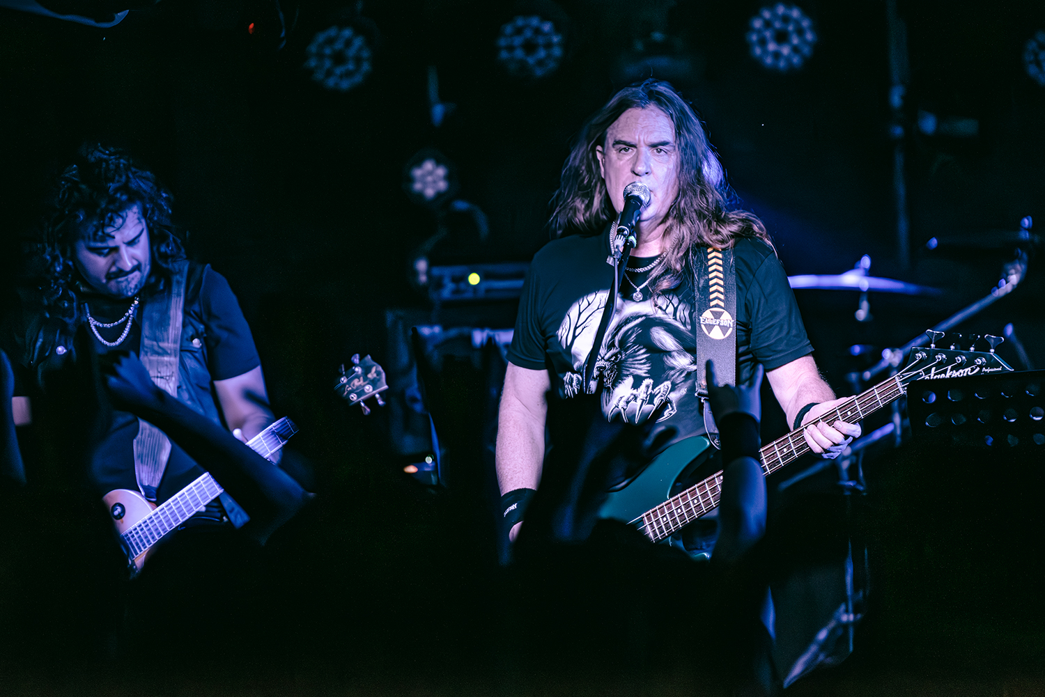 David Ellefson - Basstory